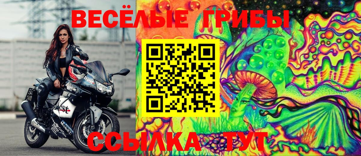 Галлюциногенные грибы Psilocybine cubensis Серов