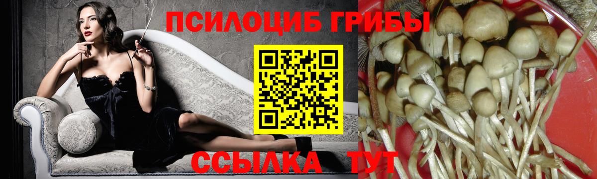 Псилоцибиновые грибы Cubensis  закладка  Вход с VPN  Серов  Галлюциногенные грибы GOLDEN TEACHER 